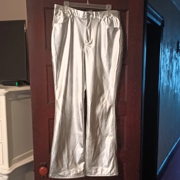 Shiny Silver Pants - Picture 1 of 9